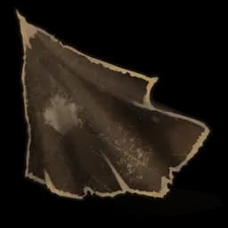Leather